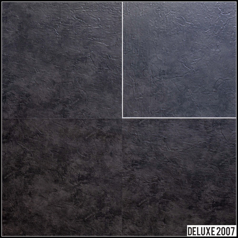 DL 2007